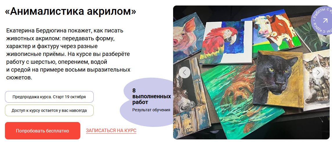 2026-10-10_18-01-04.jpg
